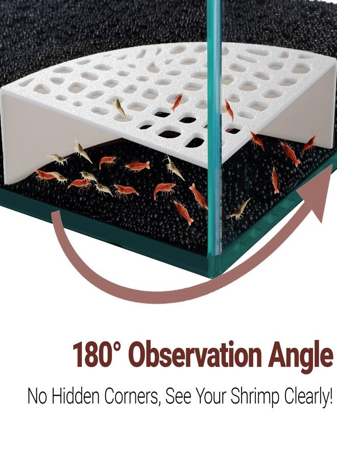 HERPDEN 2-Pack Aquarium Shrimp Shelter Hide, 5.5x4x1.3 inches, Multi-Sized Holes for Cherry and Dwarf Shrimp - Image 3